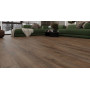 Floorpan ламинат Violet Дуб Вояджер FP1123